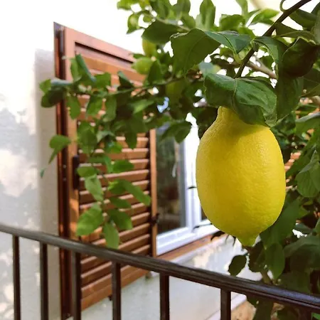 Kamenjak Apartament Premantura